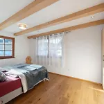 Holzfaeller * Lenzkirch
